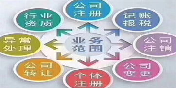 南昌縣專(zhuān)業(yè)服務(wù)市場(chǎng)調(diào)研 商標(biāo)、審計(jì)與信息技術(shù)咨詢(xún)價(jià)格參考